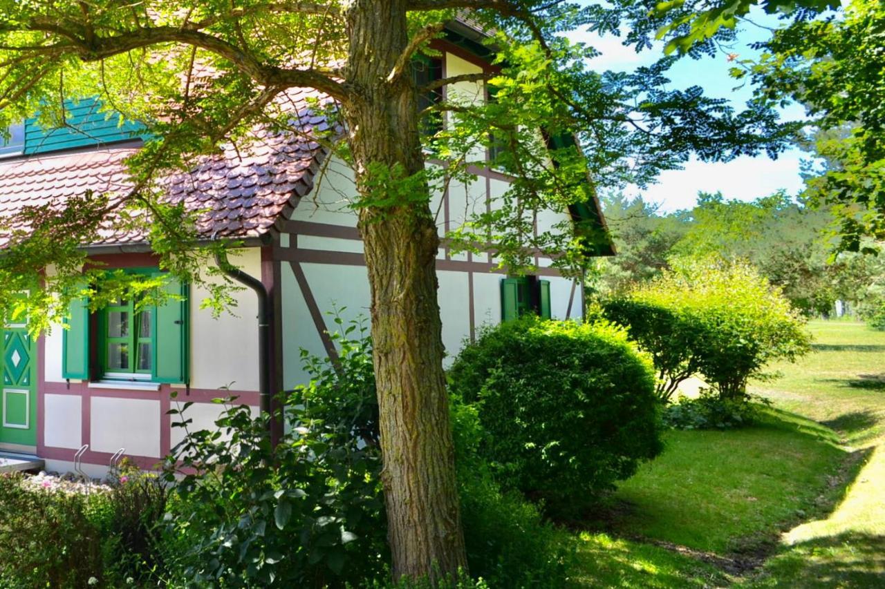 Strandnahe Ferienwohnung Ruegen Dranske Εξωτερικό φωτογραφία