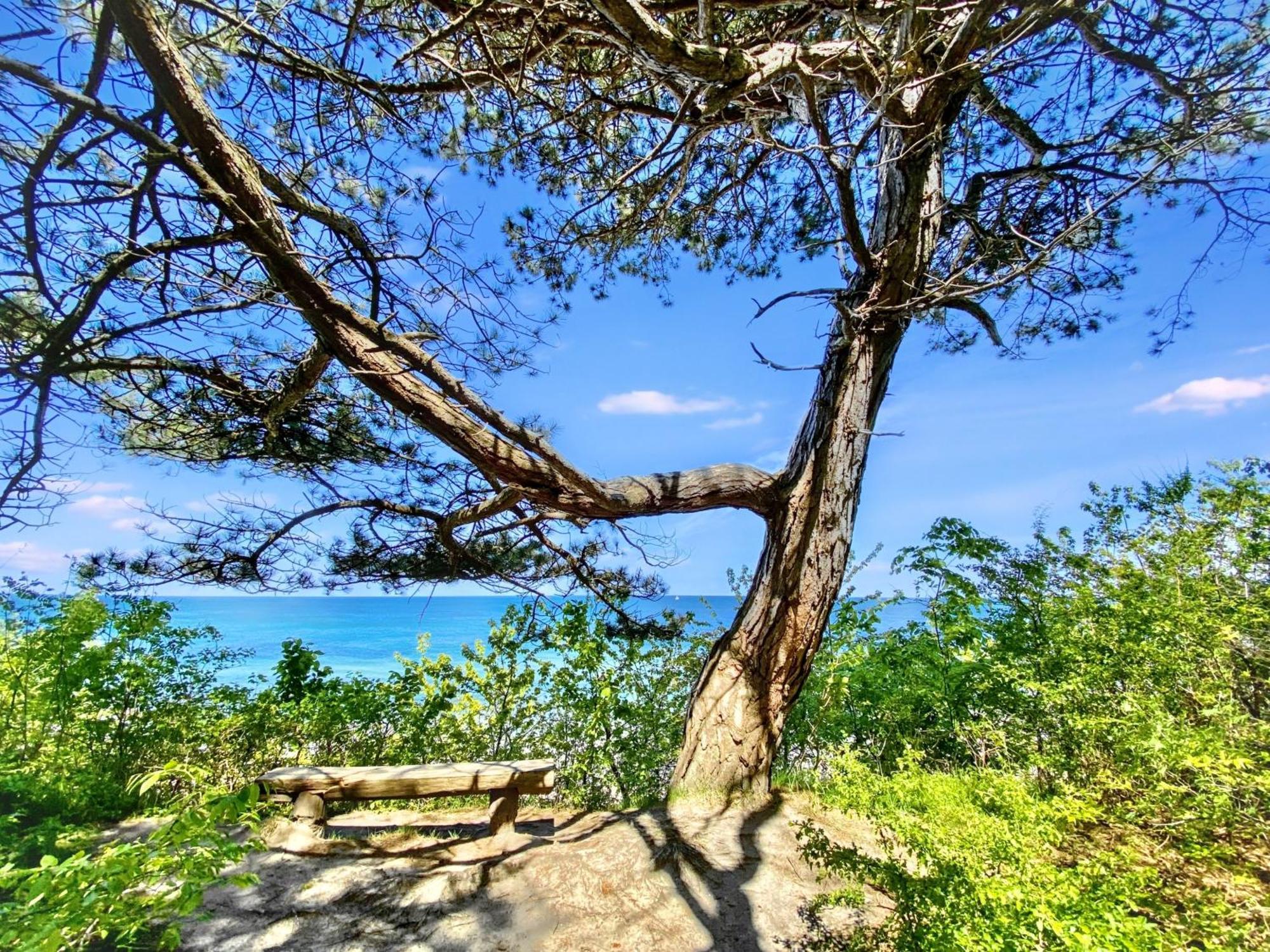 Strandnahe Ferienwohnung Ruegen Dranske Εξωτερικό φωτογραφία
